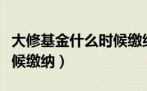 大修基金什么时候缴纳（大修基金具体什么时候缴纳）