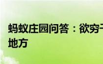 蚂蚁庄园问答：欲穷千里目更上一层楼是哪个地方