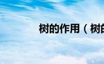 树的作用（树的作用有哪些）