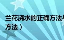 兰花浇水的正确方法与技巧（兰花浇水的正确方法）