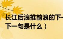 长江后浪推前浪的下一句（长江后浪推前浪的下一句是什么）