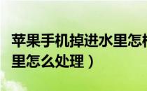 苹果手机掉进水里怎样处理（苹果手机掉进水里怎么处理）