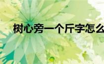 树心旁一个斤字怎么读（树心旁一个斤）