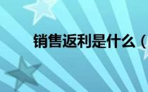 销售返利是什么（什么是销售返利）