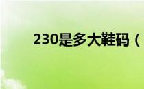 230是多大鞋码（230是多大的鞋 ）