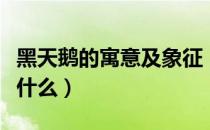 黑天鹅的寓意及象征（黑天鹅的寓意及象征是什么）