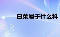 白菜属于什么科（白菜是什么科）