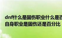 dnf什么是固伤职业什么是百分比职业（DNF如何快速区分自身职业是固伤还是百分比）