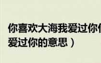 你喜欢大海我爱过你什么意思（你喜欢大海我爱过你的意思）