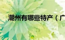 潮州有哪些特产（广东潮州有哪些特产）