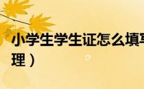 小学生学生证怎么填写（小学生学生证怎么办理）