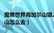 魔兽世界海加尔山猎人宝宝（魔兽世界海加尔山怎么去）