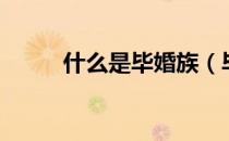 什么是毕婚族（毕婚族什么意思）