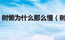 树懒为什么那么慢（树懒慢吞吞是什么原因）