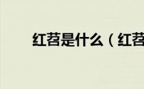 红苕是什么（红苕是哪个东西别称）