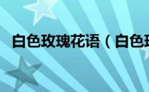 白色玫瑰花语（白色玫瑰花语象征与寓意）