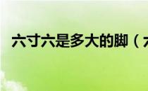 六寸六是多大的脚（六寸六的脚是多少码）