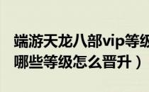 端游天龙八部vip等级（天龙八部3vip特权有哪些等级怎么晋升）