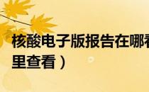核酸电子版报告在哪看（电子版核酸报告在哪里查看）