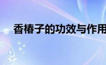香椿子的功效与作用（香椿子的副作用）