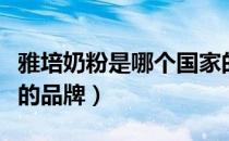 雅培奶粉是哪个国家的（雅培奶粉是哪个国家的品牌）