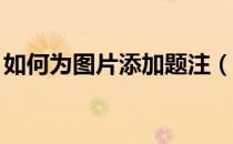 如何为图片添加题注（如何为图片添加logo）