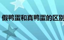 假鸭蛋和真鸭蛋的区别（怎样辨别真假鸭蛋）