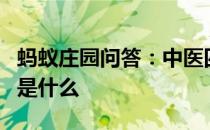 蚂蚁庄园问答：中医四诊望闻问切中的切指的是什么