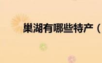 巢湖有哪些特产（巢湖有什么特产）