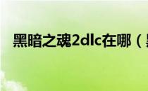 黑暗之魂2dlc在哪（黑暗之魂2dlc3攻略）