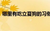 哪里有吃立夏狗的习俗 蚂蚁新村吃了立夏狗