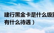 建行黑金卡是什么级别及待遇（建设银行黑卡有什么待遇）