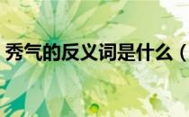 秀气的反义词是什么（秀气的反义词有哪些）