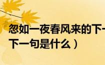 忽如一夜春风来的下一句（忽如一夜春风来的下一句是什么）