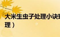 大米生虫子处理小诀窍（大米生虫子了怎么处理）