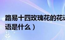 路易十四玫瑰花的花语（路易十四玫瑰花的花语是什么）