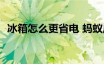 冰箱怎么更省电 蚂蚁庄园冰箱5.7答案最新
