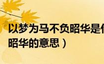 以梦为马不负昭华是什么意思（以梦为马不负昭华的意思）