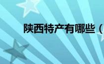 陕西特产有哪些（陕西特产有什么）
