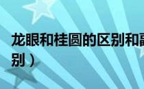 龙眼和桂圆的区别和副作用（龙眼和桂圆的区别）