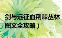 剑与远征血荆棘丛林（剑与远征血荆丛林路线图文全攻略）