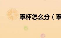 罩杯怎么分（罩杯怎么分大小）
