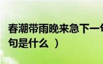 春潮带雨晚来急下一句（春潮带雨晚来急下一句是什么 ）