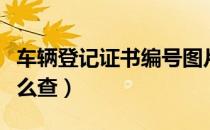 车辆登记证书编号图片（车辆登记证书编号怎么查）