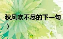 秋风吹不尽的下一句（秋风吹不尽的下一句是）