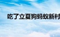 吃了立夏狗蚂蚁新村 塘栖风俗立夏狗5.6