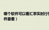 哪个软件可以看汇率实时行情（人民币汇率走势图用什么软件查看）