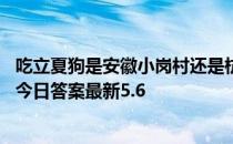吃立夏狗是安徽小岗村还是杭州塘栖村的立夏习俗 蚂蚁新村今日答案最新5.6
