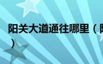 阳关大道通往哪里（阳关大道指通向哪里的路）