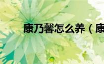 康乃馨怎么养（康乃馨的养殖方法）